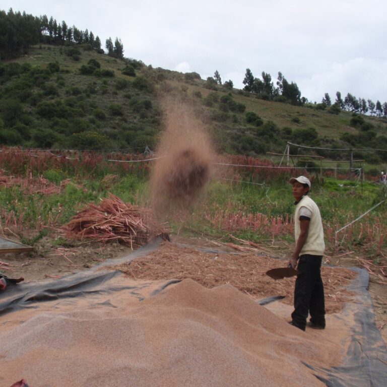 whatsapp image 2023 05 26 at 1.06.27 pm (1)