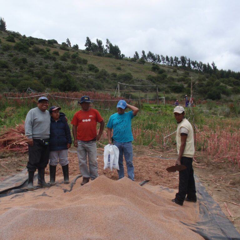 whatsapp image 2023 05 26 at 1.06.27 pm (2)