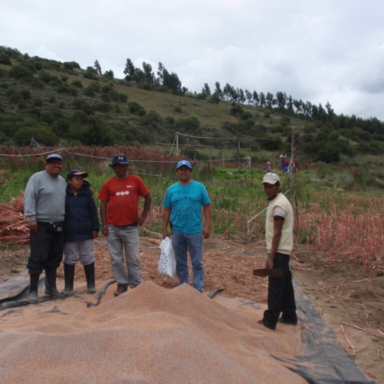 whatsapp image 2023 05 26 at 1.06.27 pm (5)