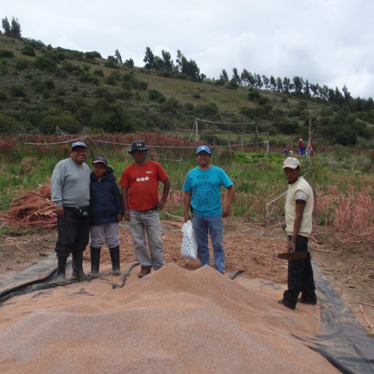 whatsapp image 2023 05 26 at 1.06.28 pm