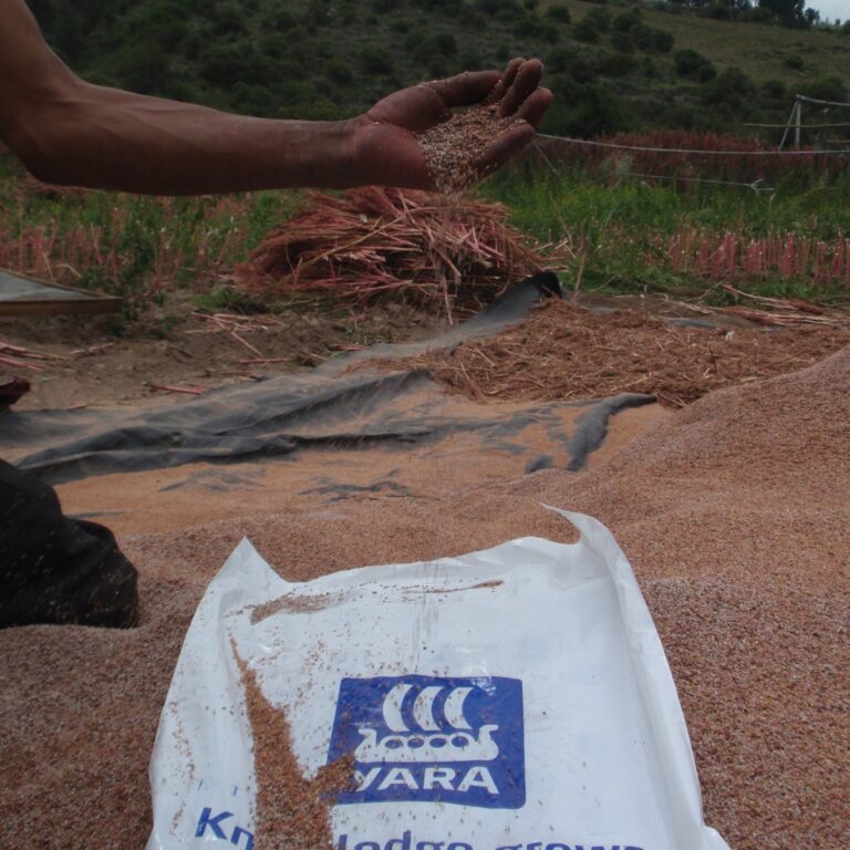 whatsapp image 2023 05 26 at 1.06.29 pm (5)