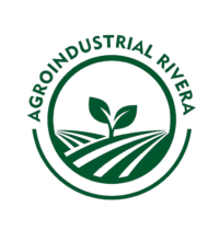 logo verde png